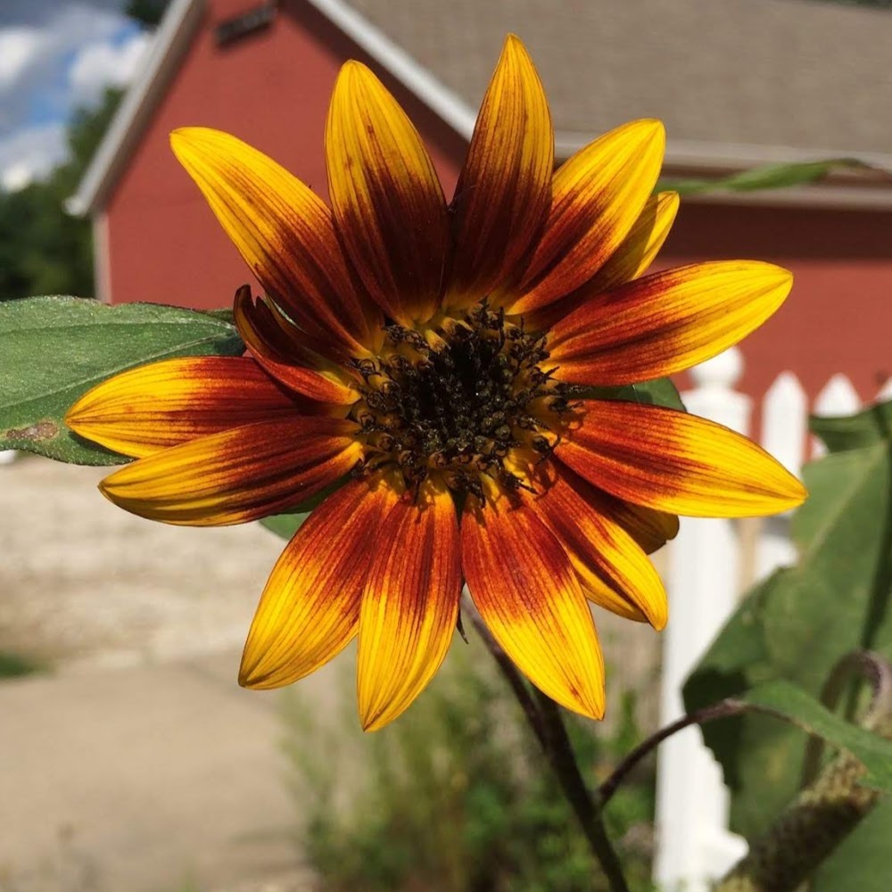 Meet your Posher, Genevieve